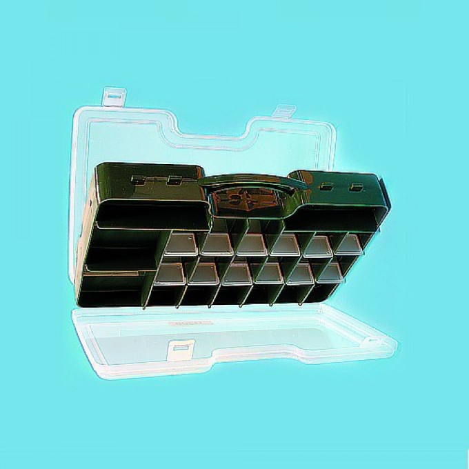 Коробка рыболовная двухсторонняя SALMO Double Sided 290х200х60